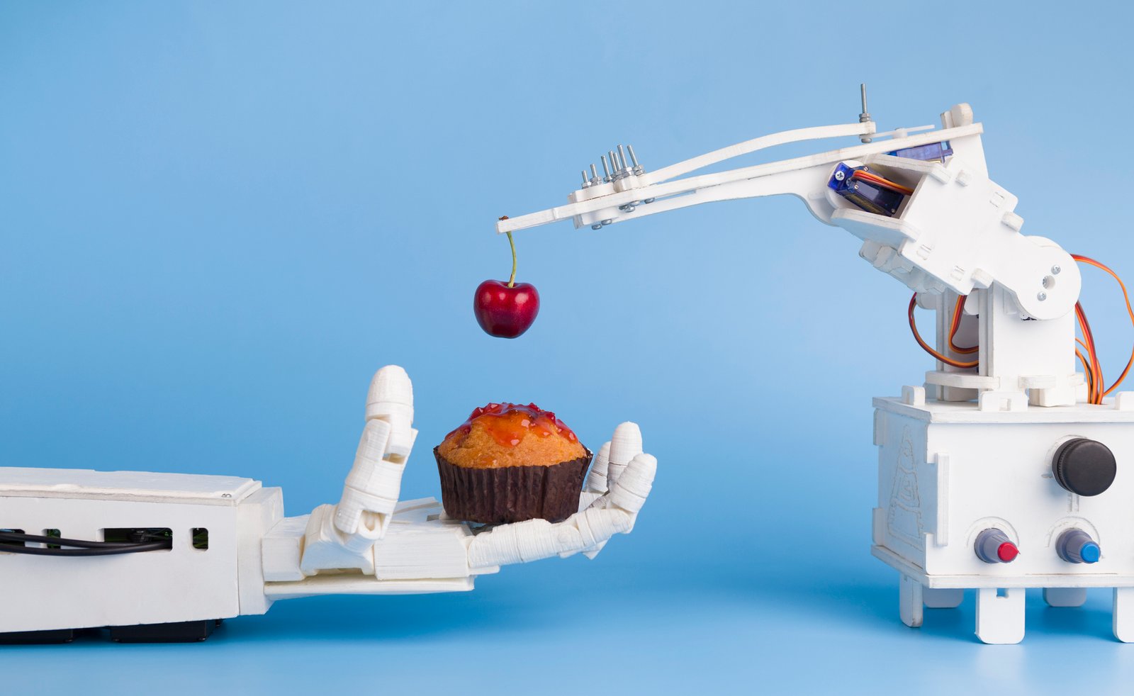 Robots ‘ready to lengthen attain’ in meals industry