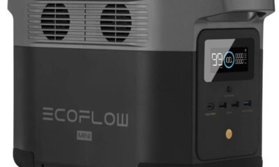 EcoFlow Delta Mini Portable Energy Space overview: What can’t it possess?
