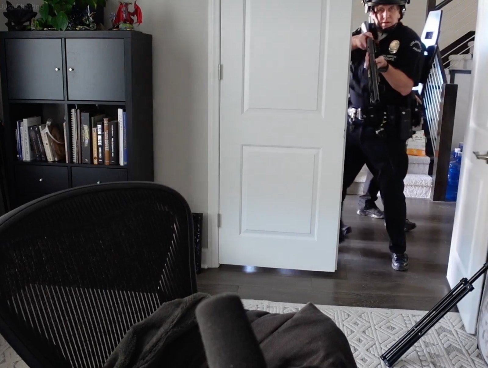 SWAT crew arrests critical Twitch streamer and her whole household at some level of Hearthstone livestream