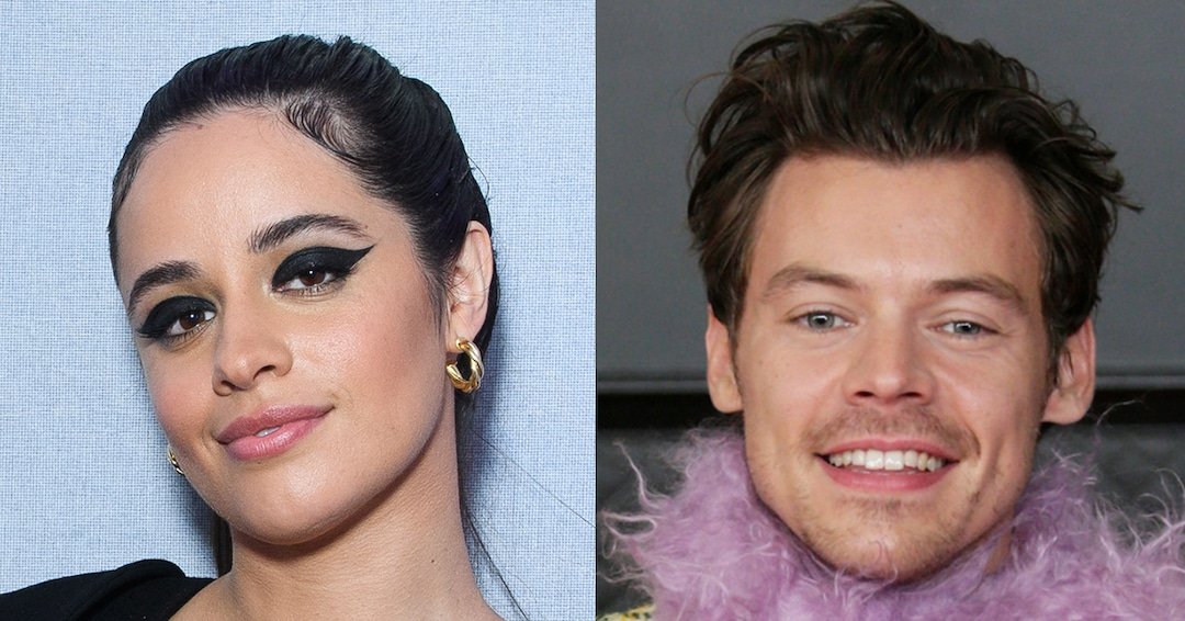 Camila Cabello Auditioned for X Ingredient to Meet Harry Kinds