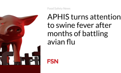 APHIS turns consideration to swine fever after months of battling avian flu