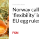 Norway calls for ‘flexibility’ in draft EU egg suggestions