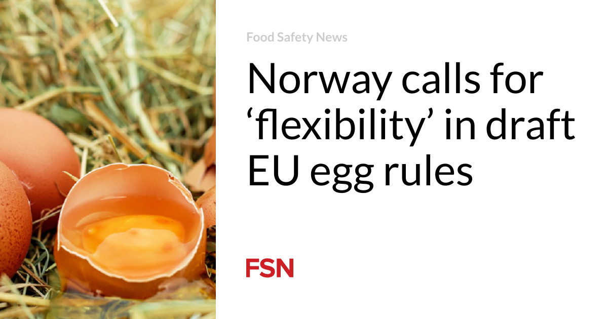 Norway calls for ‘flexibility’ in draft EU egg suggestions