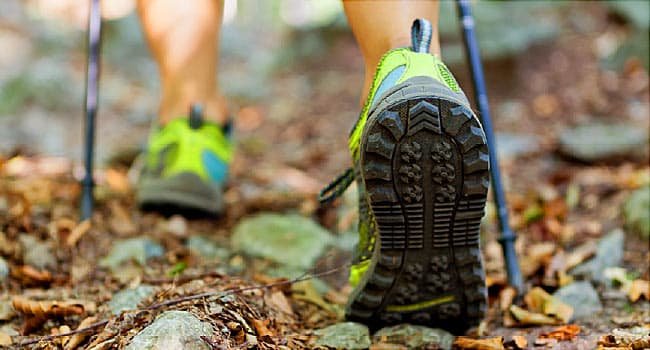 Nordic Walking Beats Varied Workout routines for Heart Health: Explore