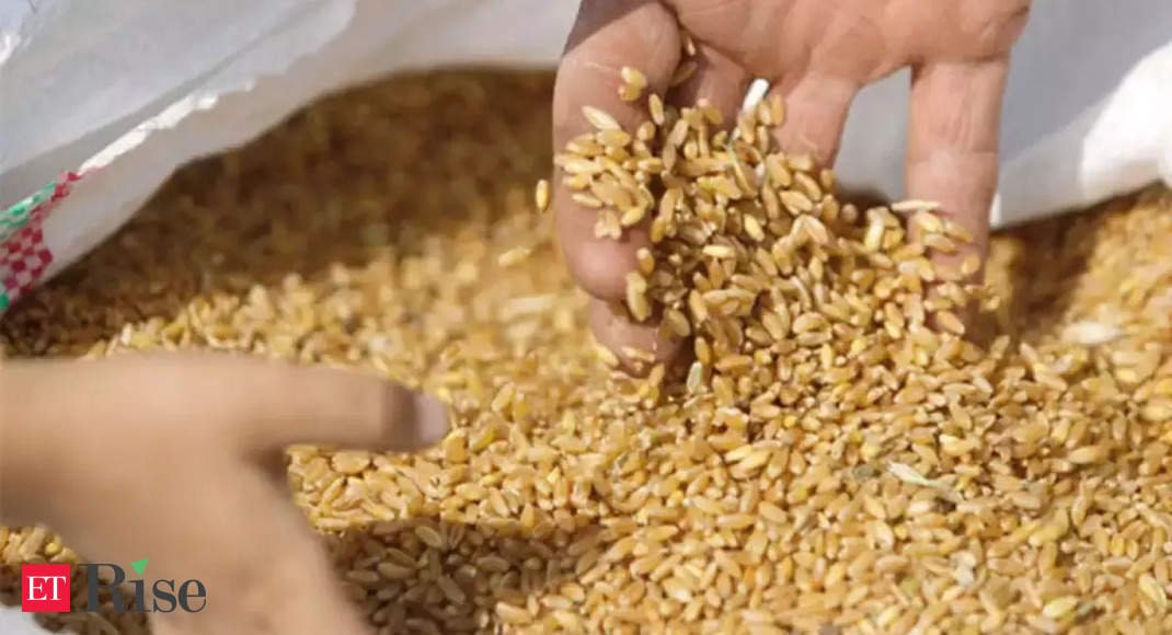 Battle-strained wheat market faces moment of truth