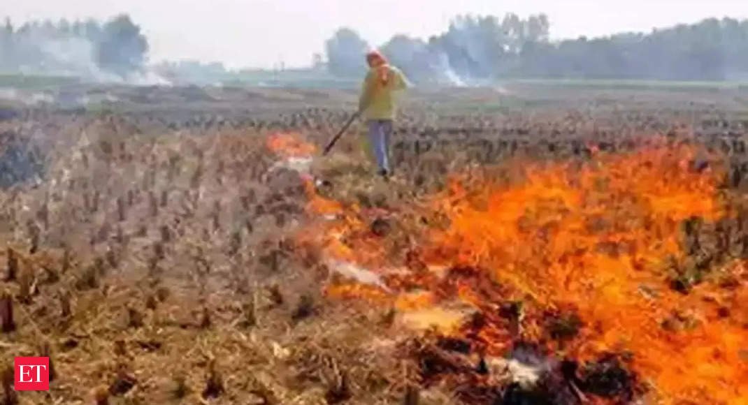 ‘Punjab sees 12.59% rise in stubble burning events’