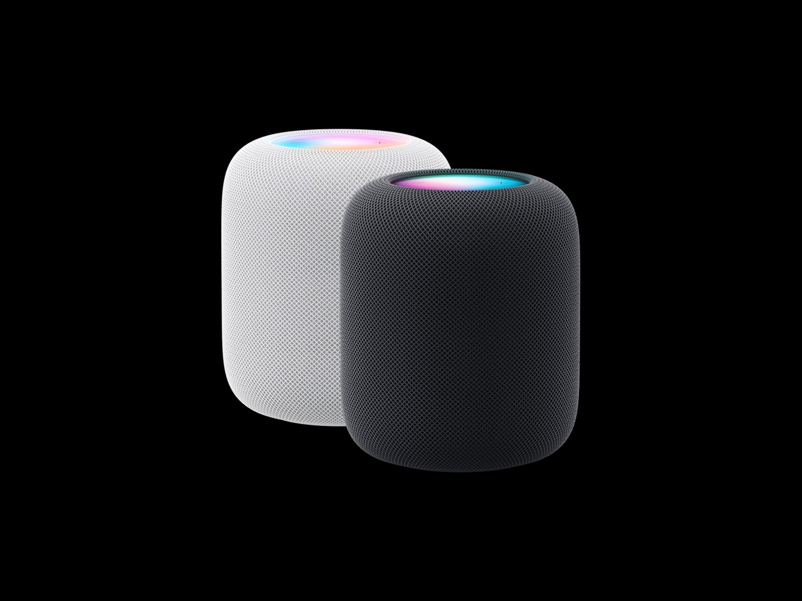 Apple HomePod Evaluate (2023): Worn and Historical